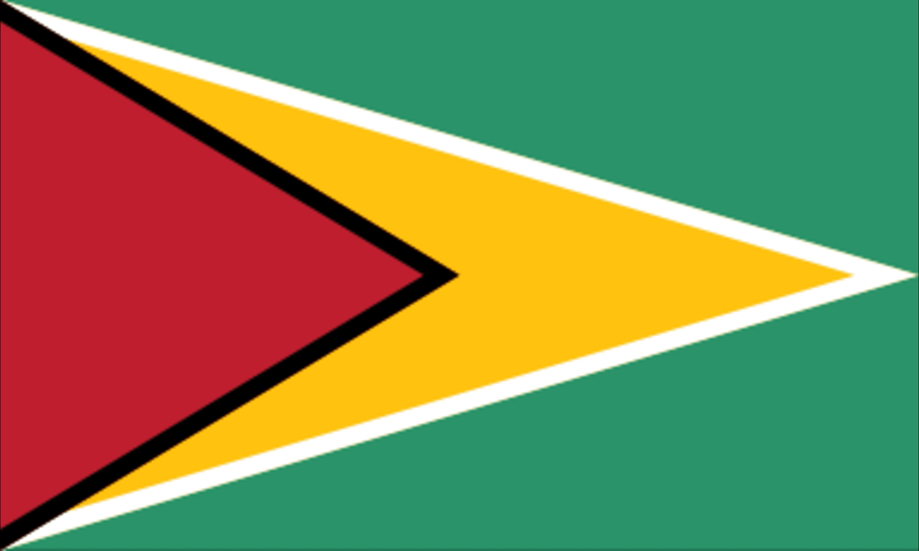 Flag_of_Guyana.svg (2).png